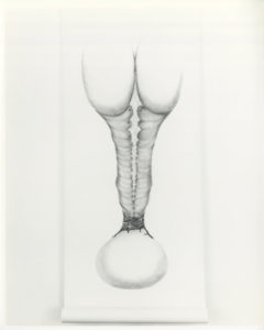 Just Right, 128x52, graphite on paper, 2000