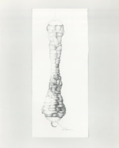 Protection, 26x12, graphite on paper, 1999