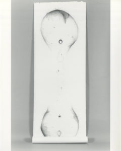 Slip Jim, 139x52, graphite on paper, 2000